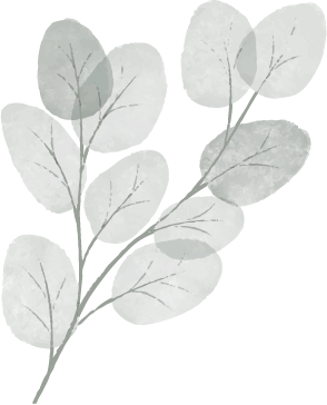 Illustration botanique d’eucalyptus utilisée sur le site de Noémie Herbert, photographe à Lyon, pour apporter une touche naturelle et élégante à l’univers visuel.